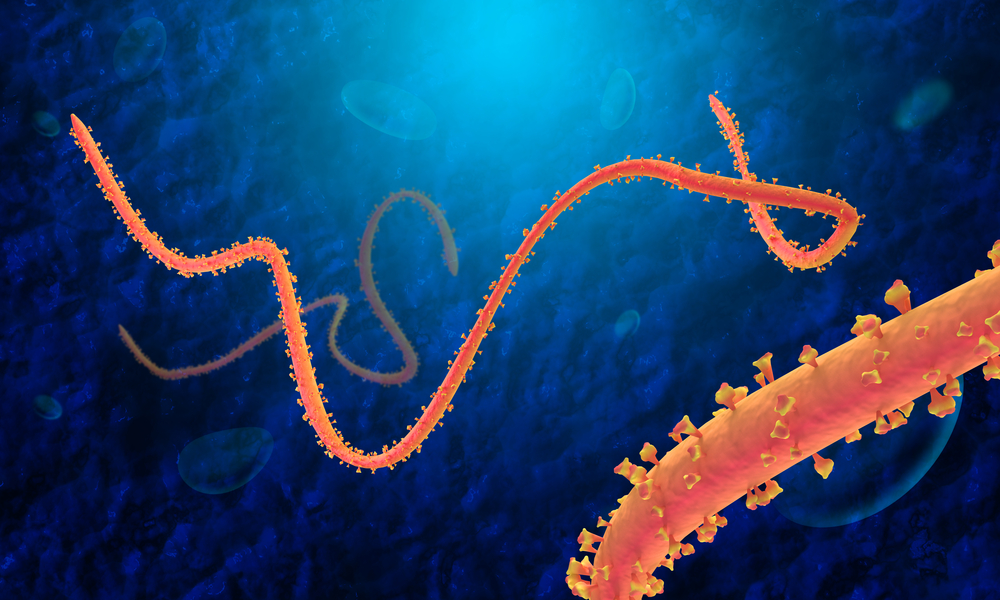 Prevention and control of Ebolavirus in animals