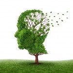 what are the symptoms of Alzheimer