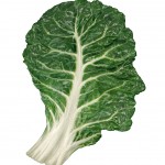 Be a Vegetarian