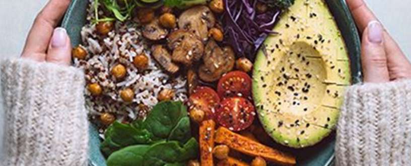 Hand holding a plate full of vegetarian food
