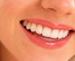 Teeth