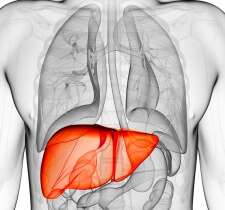 Hepatitis