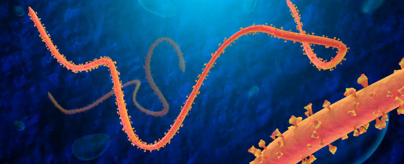 Prevention and control of Ebolavirus in animals