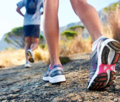 Fitness with Perfect Meals