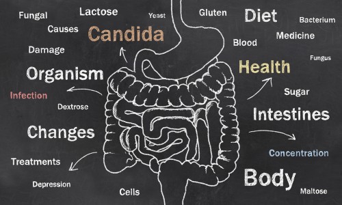 Signs of Candida Overgrowth and How To Treat It - ReliableRxPharmacy