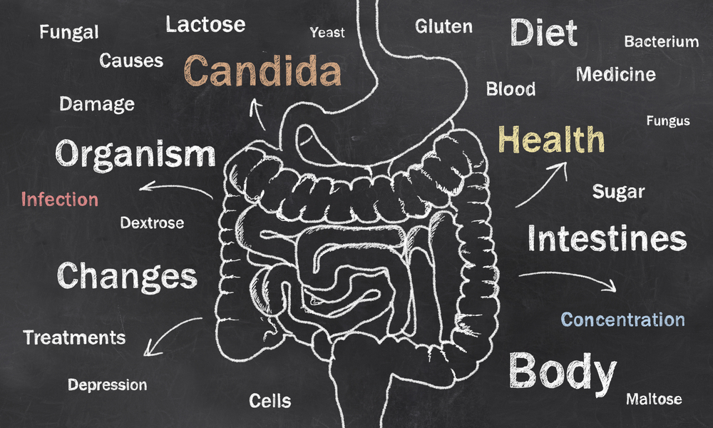Signs of Candida Overgrowth and How To Treat It
