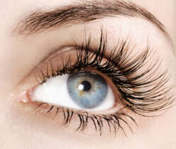 loss of eye lashes