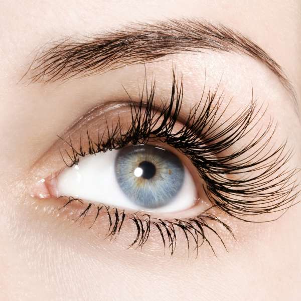 Reason for the loss of eye lashes ReliableRxPharmacy Blog, Health Blog