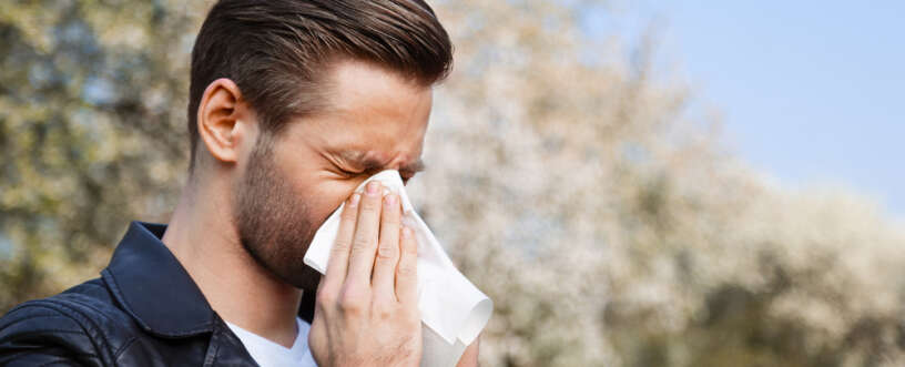 allergy Fighting Trick