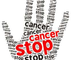 What Is the Best Diet for Cancer Prevention?