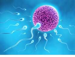Foods that offer a natural way to improve male fertility