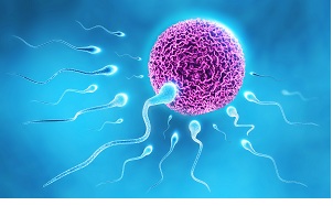 Foods that offer a natural way to improve male fertility