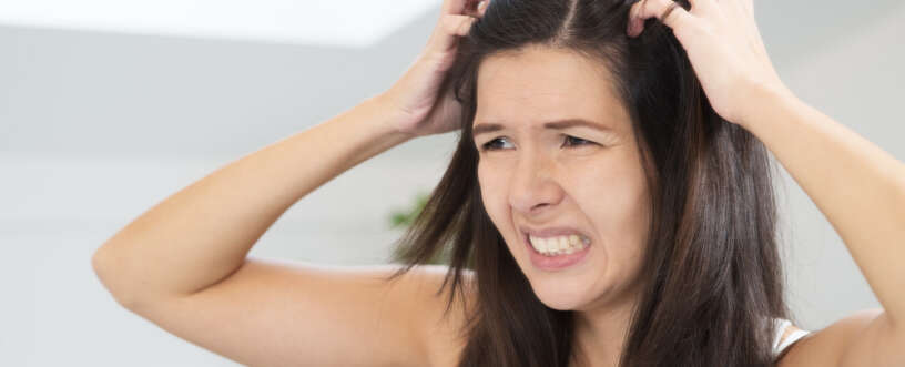 Understand symptoms and treatment of dry scalp and dandruff