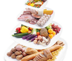 A Guide to the Food Pyramid