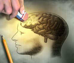Diet plays a role in Alzheimer’s disease prevention