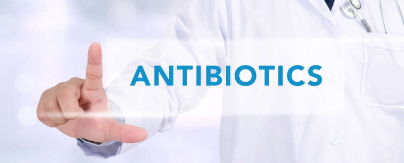 How antibiotic works