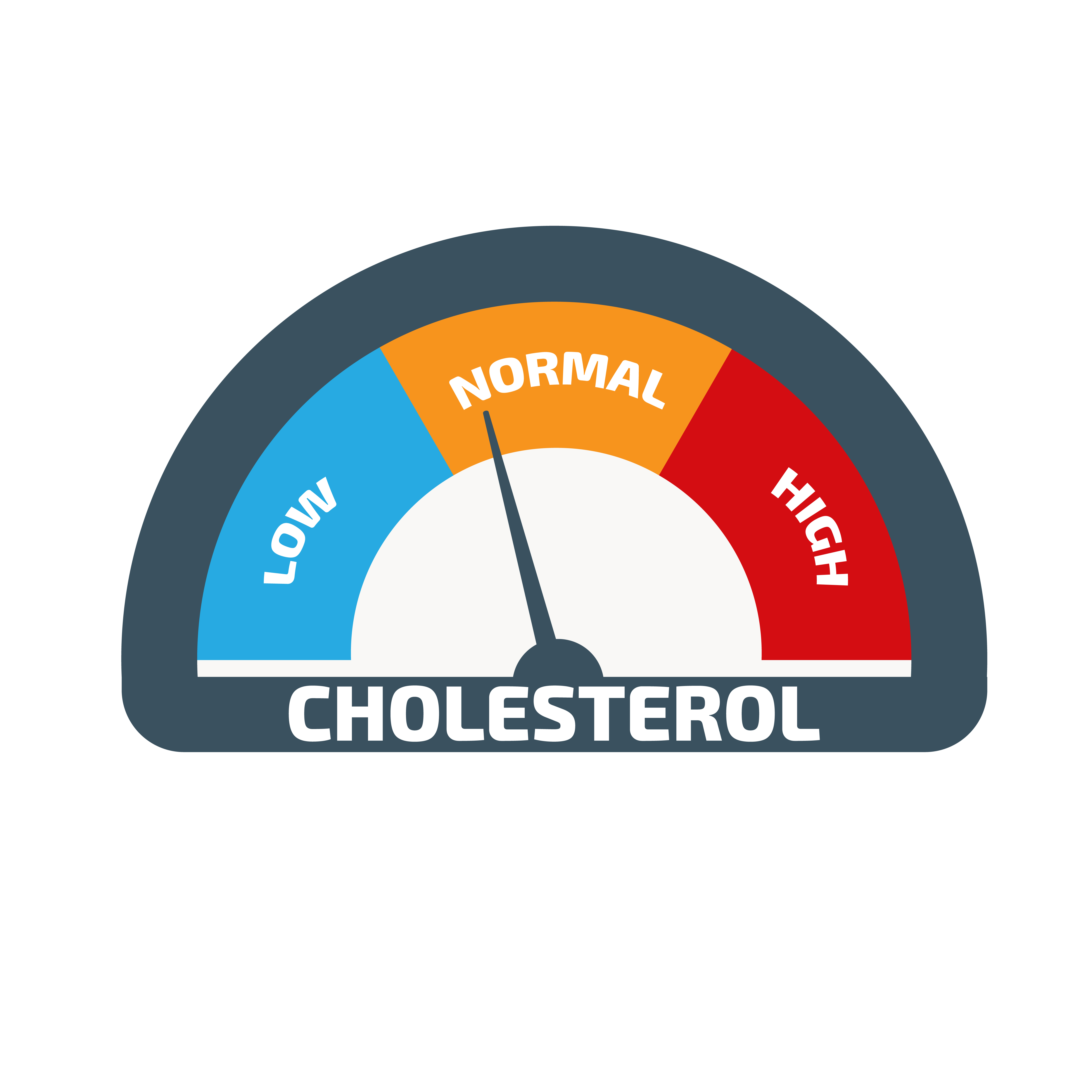 Tips to Keep Your Cholesterol In Control