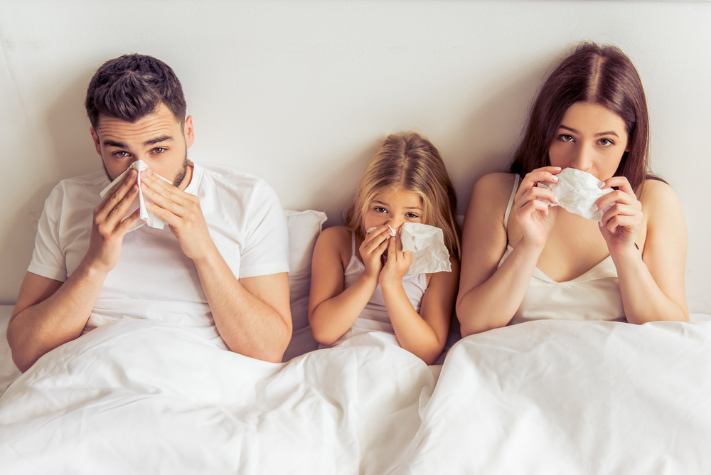 Best Remedies for Cold and flu