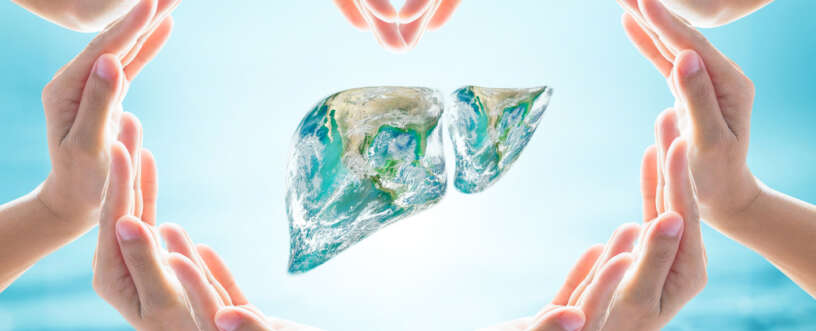 How to clean and improve functionality of liver in simple steps