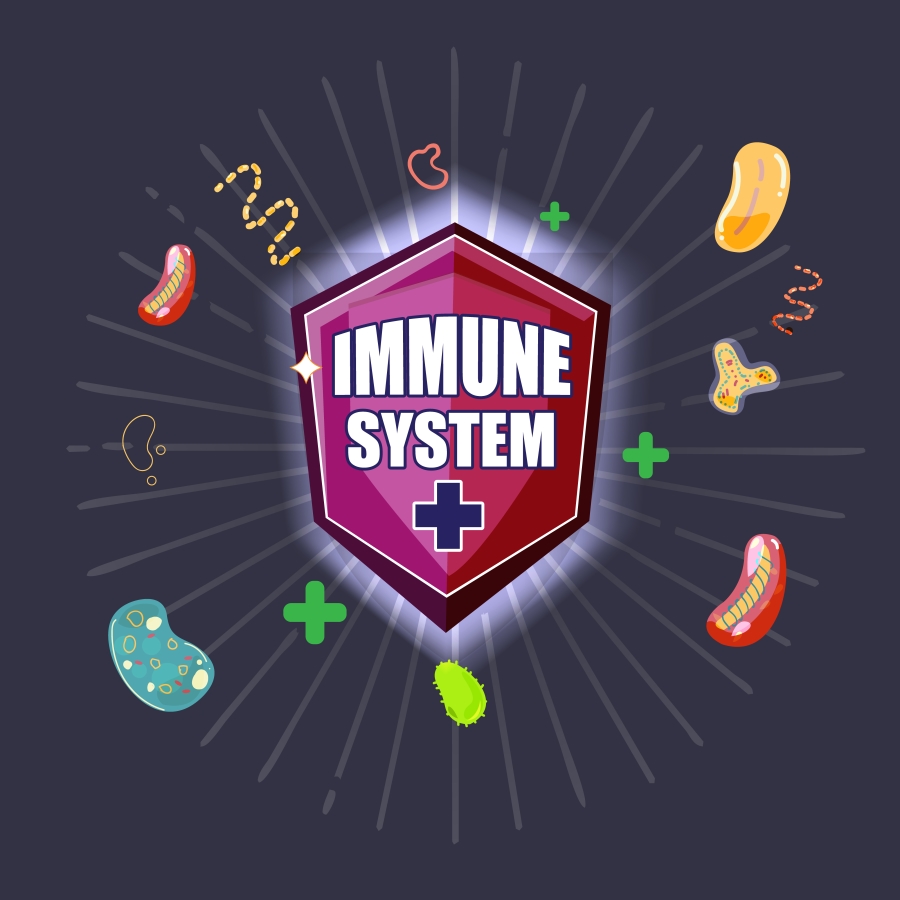 Natural Ways to Boost Your Immune System