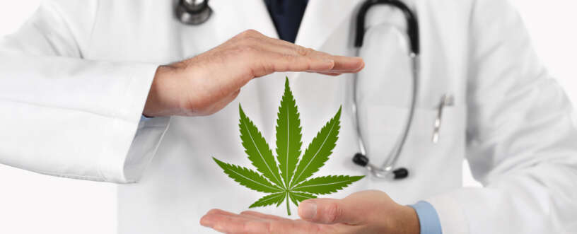 Can Marijuana Cure Diabetes?