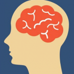 Brain Exercises