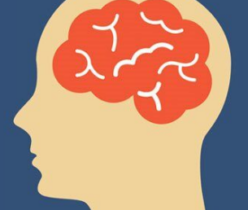Brain Exercises