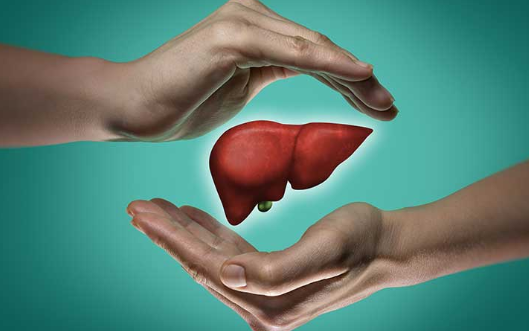 Healthy Liver