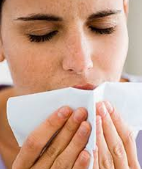 Prevent Allergy