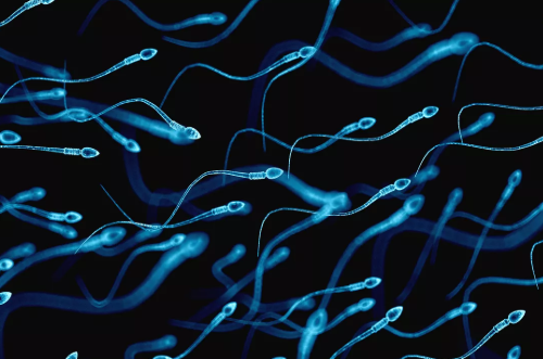 smoke effect on sperm