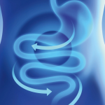 Digestive System
