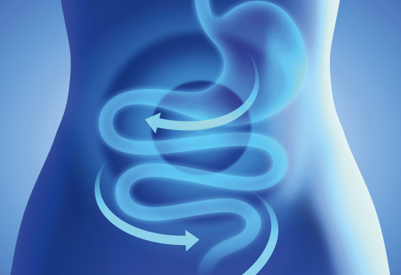 7 Tips for the Better Digestive System | ReliableRxPharmacy Blog