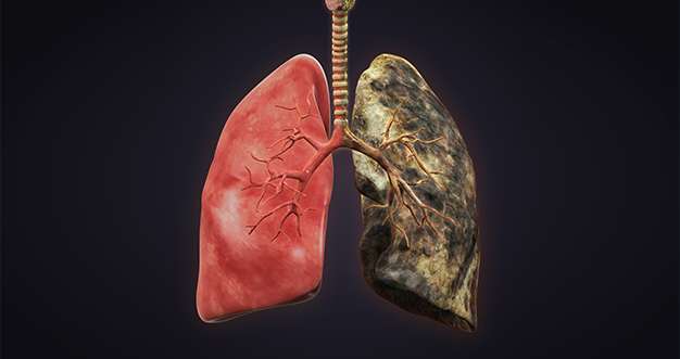 smokers lungs vs healthy lungs know the difference