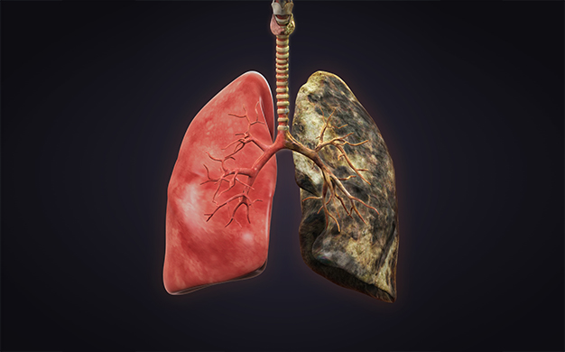 smokers lungs vs healthy lungs know the difference