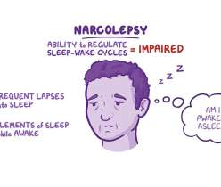 Narcolepsy