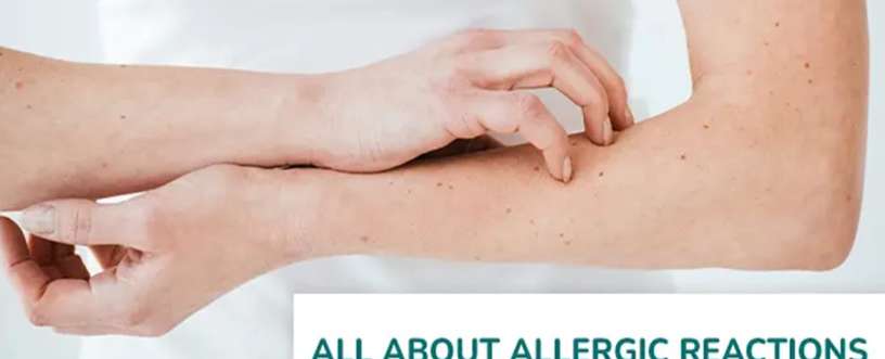 Immune System Reaction During an Allergic Reaction