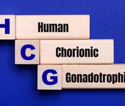 Human Chorionic Gonadotropin