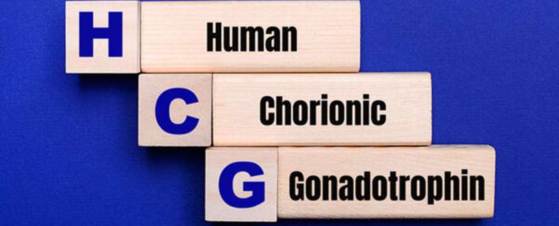 Human Chorionic Gonadotropin