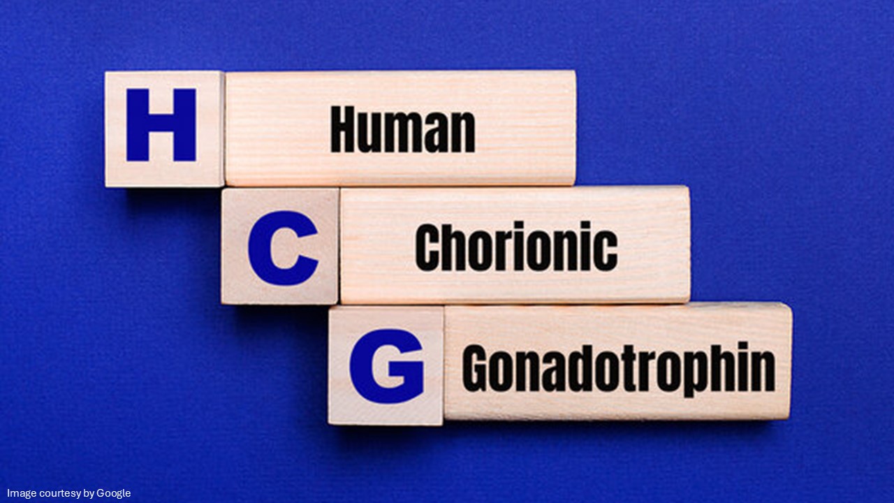 Human Chorionic Gonadotropin