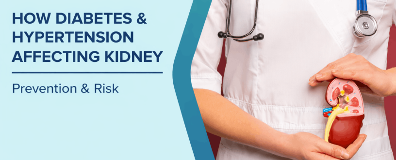 How Diabetes and high blood pressure harm your kidneys