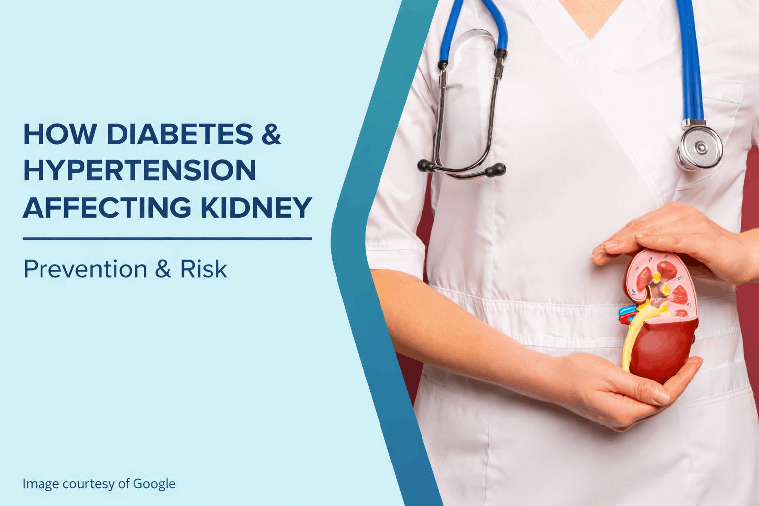 How Diabetes and high blood pressure harm your kidneys