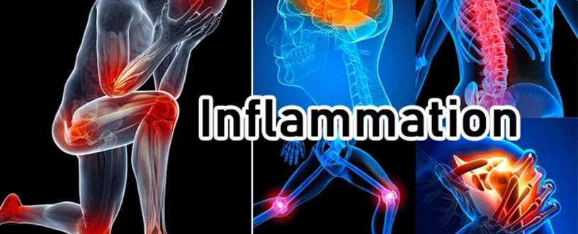 inflammation on body