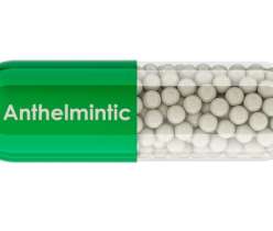 What Is an Anthelmintic and What Is It Used For