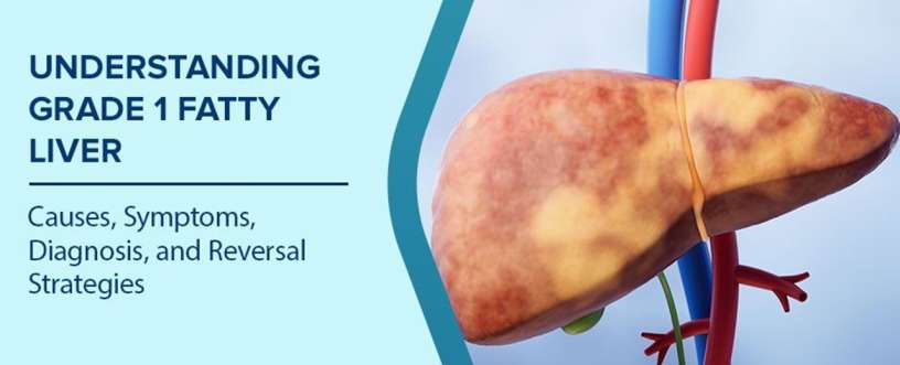 grade 1 liver