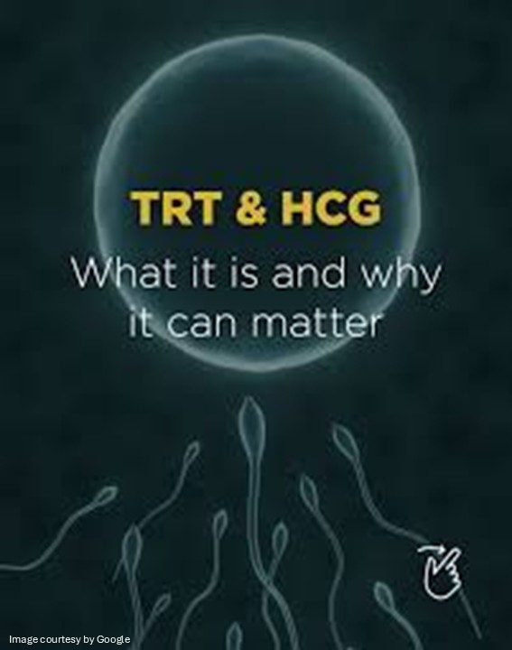 HCG vs Testosterone Therapy