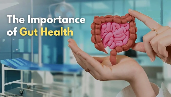 Importance of Gut Flora