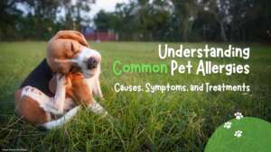allergy from dog