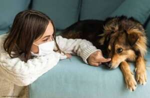 precautions to take from dog allergy