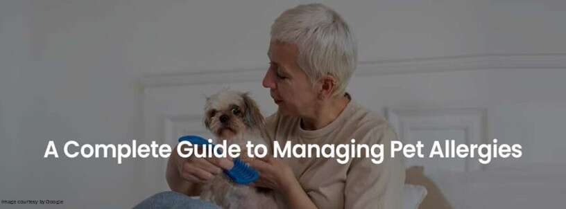 Understanding Pet Allergies